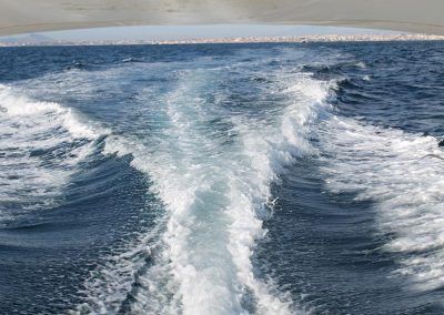 pesca_156