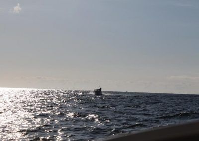 pesca_157