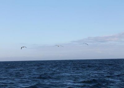 pesca_179