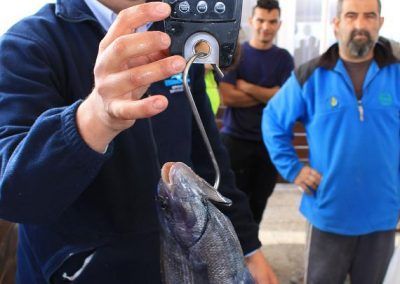 pesca_340