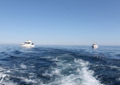 IMG_0060